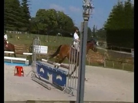 Roxana et moi - Séance Obstacle 24 Juin 2010