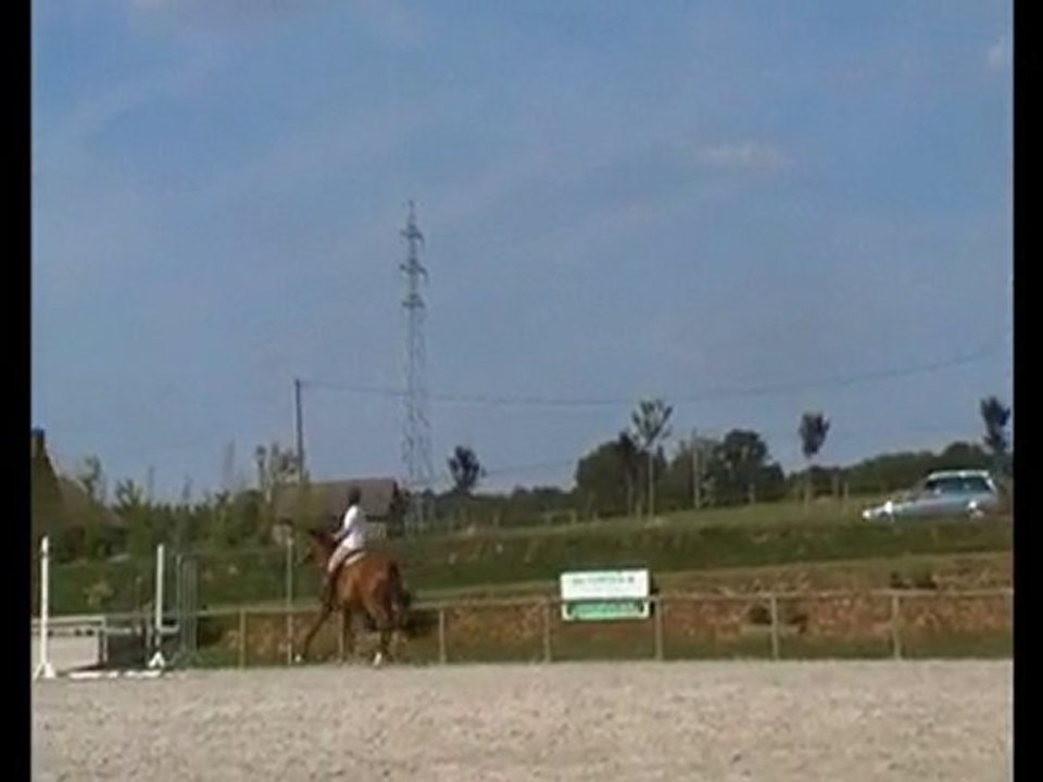 Roxana et moi - Séance Obstacle 24 Juin 2010