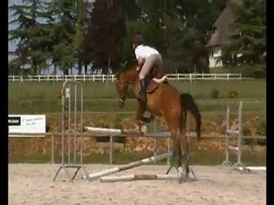 Roxana et moi - Séance Obstacle 24 Juin 2010