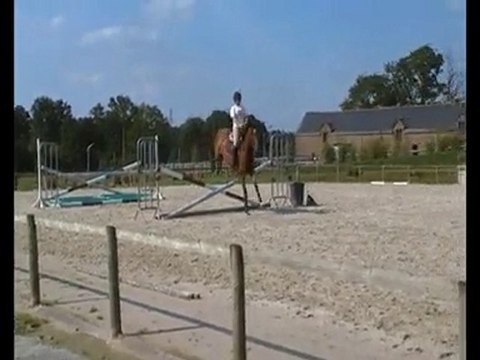 Roxana et moi - Séance Obstacle 24 Juin 2010