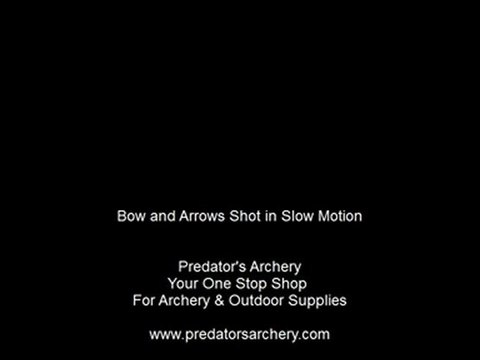 Gilroy Archery Video- Hunting Bow and Arrow