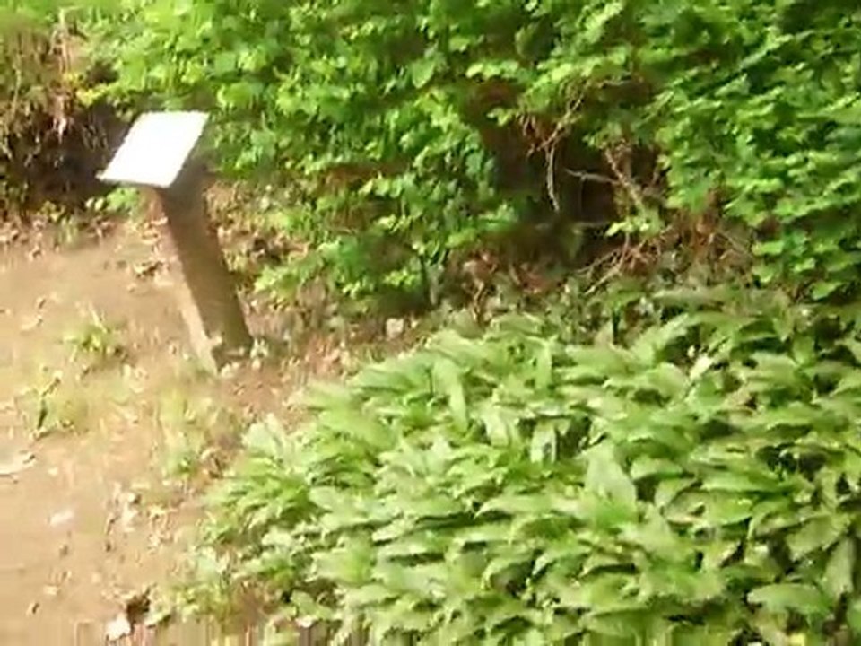 HUGUES DRAYE : "Tendres habitudes" (texte : H. Draye)