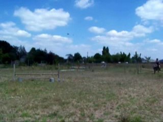 Tendresse enchainement 60cm