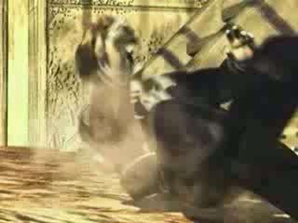 FFVIII - 7 Nation Army -