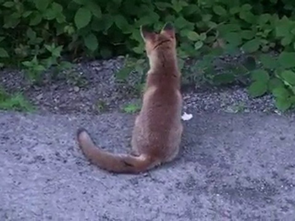 20100624200051