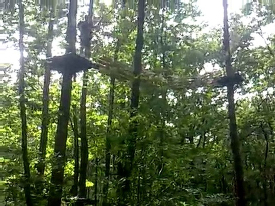 mimi fait tarzan