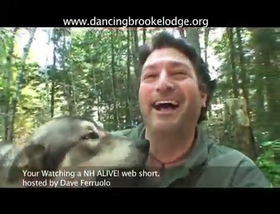 Wolf Rescue & Sanctuary