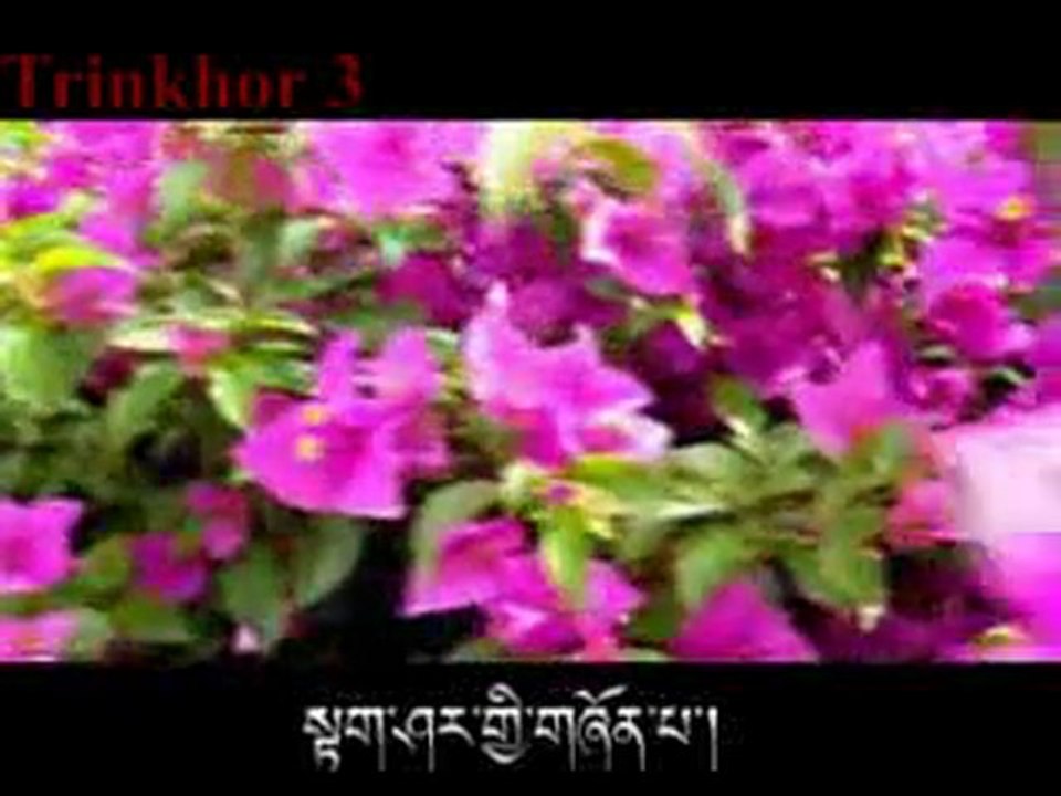 Tibetan Song Lhasi Bumo - Tawo Lobsang Palden