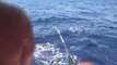 thon géant part2 by Bastia Offshore Fishing Club