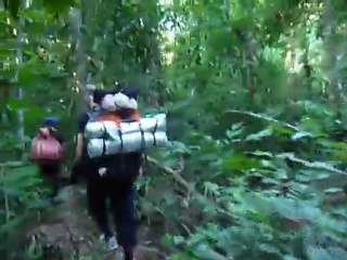 Dans la selva Bolivienne, Parc Madidi.