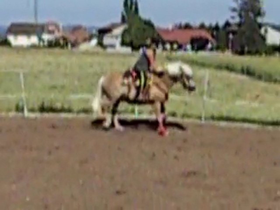 Valentin au trot