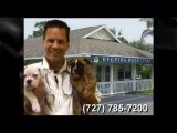 Veterinarian Holiday Florida, Vet for Holiday Florida