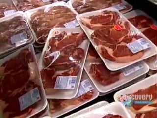 DCV Inside Pro Wrestling School Part 2