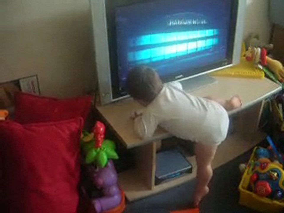 Robin sur le cascadeur !