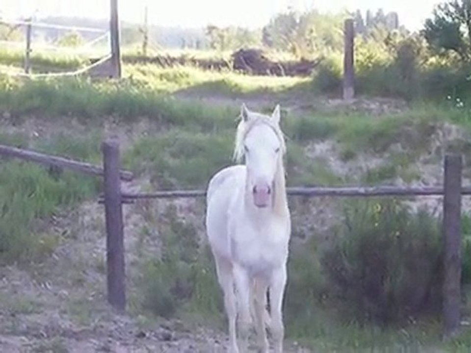 IMGP0772
