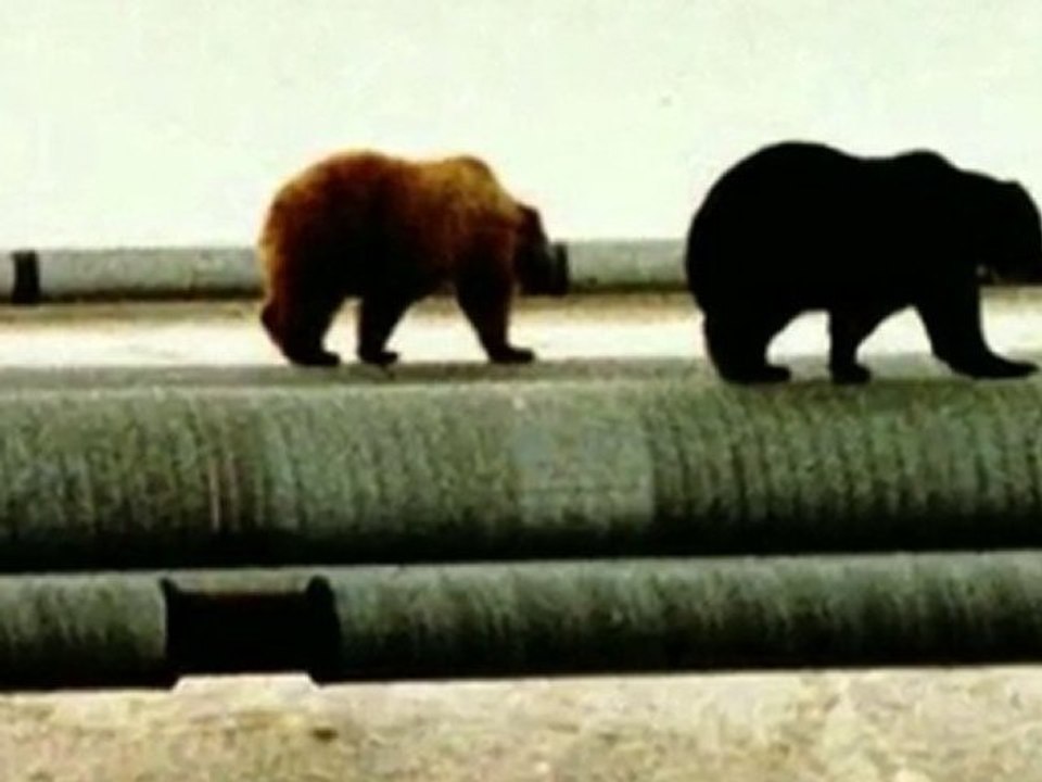 Sarah Palin's 80 million Gallons Safe BP Oil Spill