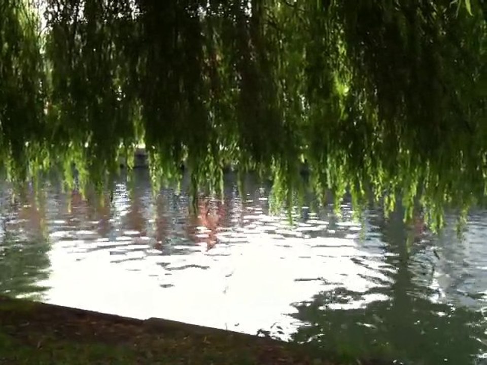 iPhone 3GS Video - River