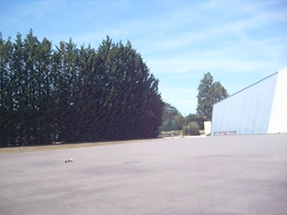 voiture thermique