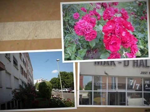 Roses in Another Dimension Quartier Mutualité FRANCE