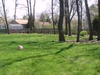 Homes for Sale - 900 E Hillside Rd - Naperville, IL 60540 -