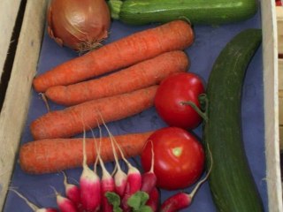Paniers fraîcheurs : le bio entre dans les gares