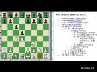 Introduction to Slav defense
