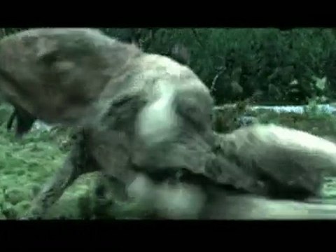 A Saga Crepusculo Eclipse