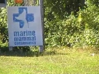 "Marine Mammal Conservancy " Key - Largo Floride