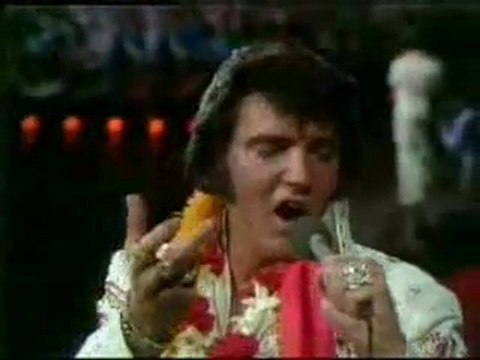 Danny Mirror - I Remember Elvis Presley(The King is Dead)
