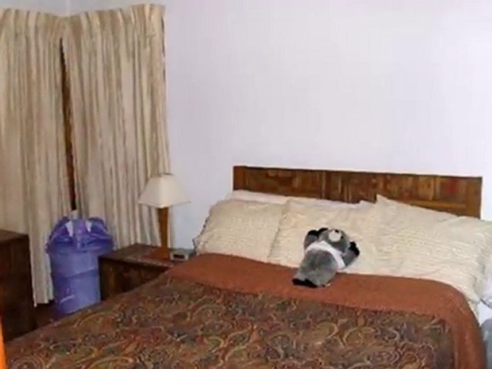 Homes for Sale - 2424 S 10th Ave - Broadview, IL 60155 - Col