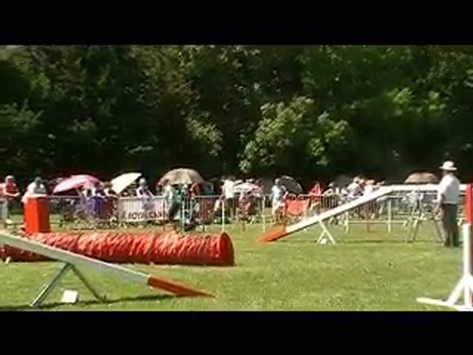 STGR Miramas 2010 Dream Agility 1