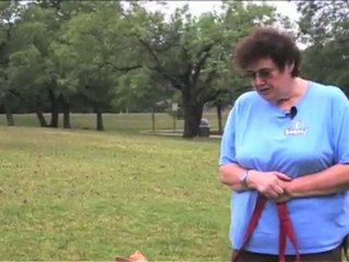 Eureka Dog Traing Loose Leash Walk
