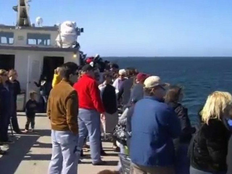 Hornblower Cruises & Events