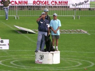 Bob à Mauguio - Finale RING 2010