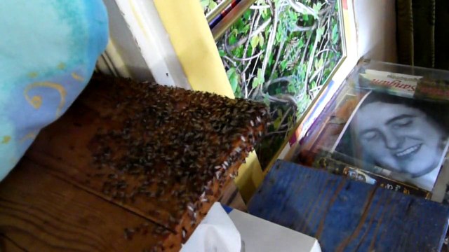 Fourmies , manifestation orageuse le 24 juin 2010