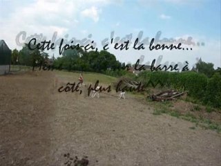 Sauts en liberté de Quarré