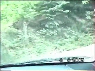 artvin berta yolu çedliyana çıkış videosu