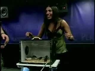 Attaque de rat ou de souris