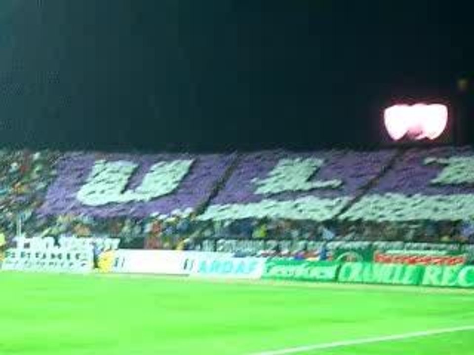 CVUCS