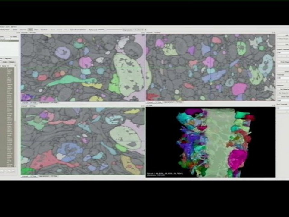 H. Sebastian Seung: Connectomics