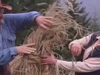 Permaculture :  Réalité et Amour de la Terre 2/2