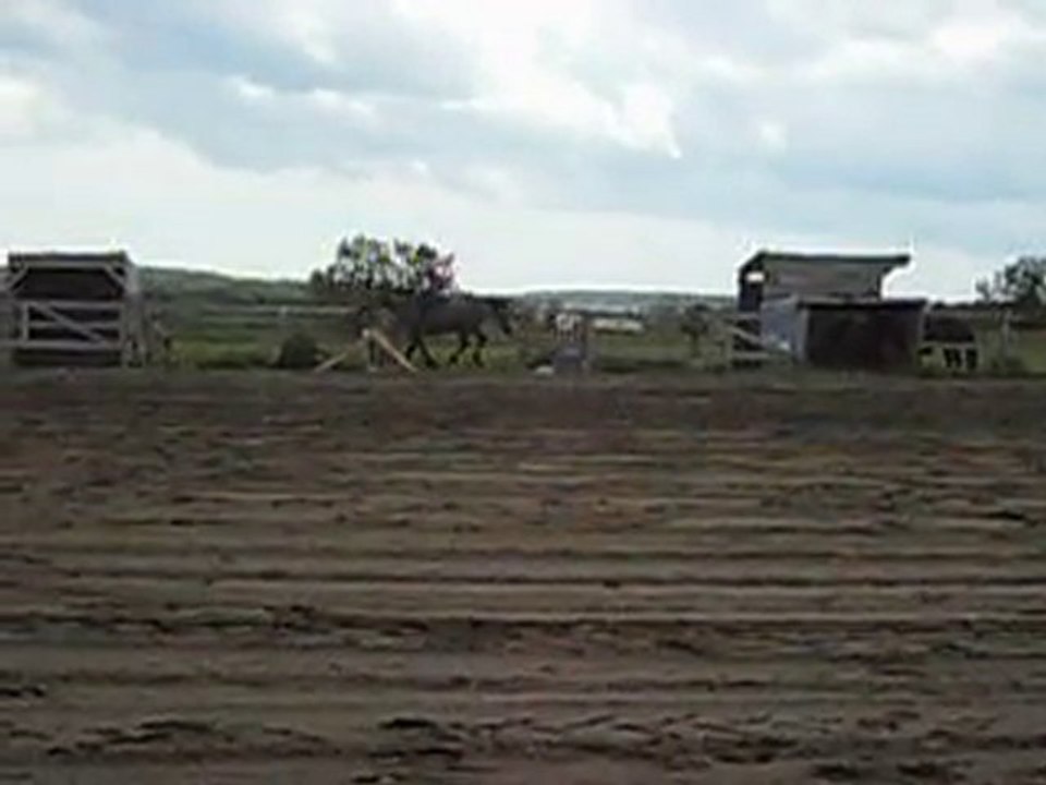 petite ligne de 2 obstacles au trot