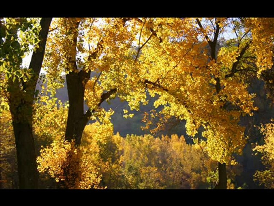 etkin hoşçakal segilim