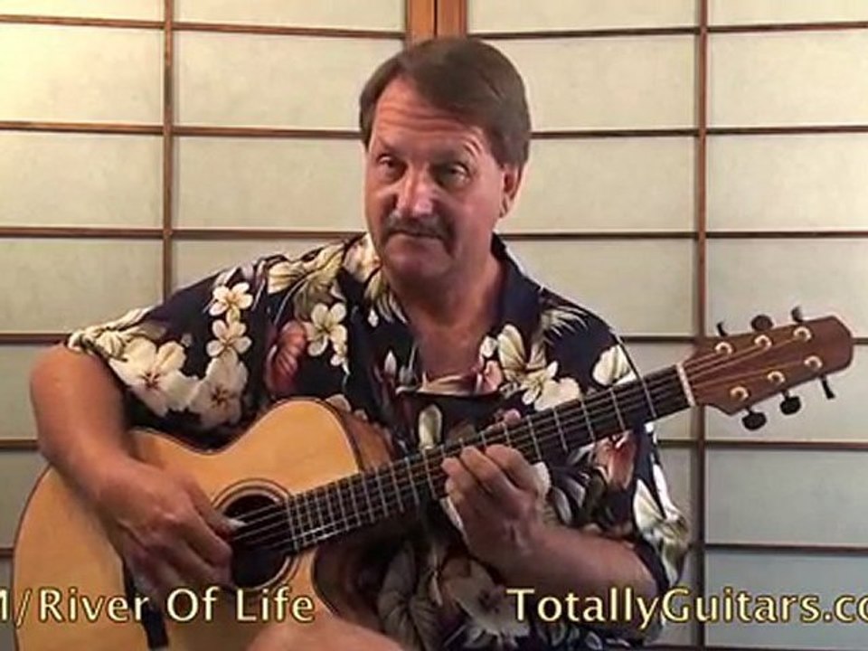 PFM - River Of Life Guitar lesson