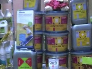 Baltic Wood Warszawa Margo Swiat Podlóg Drewnianych