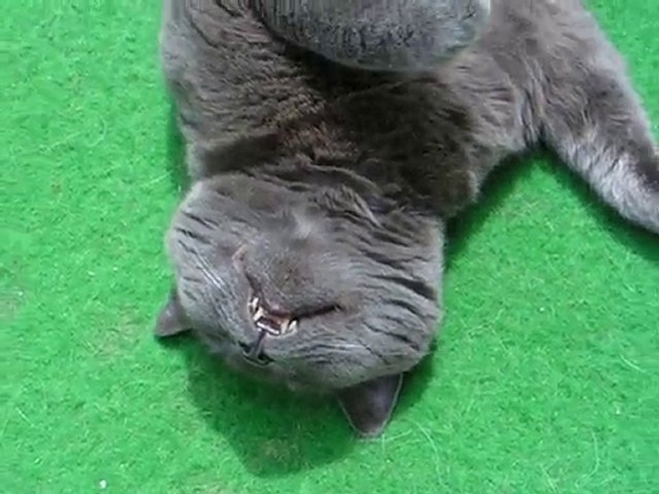 Les Aides Jardiniers