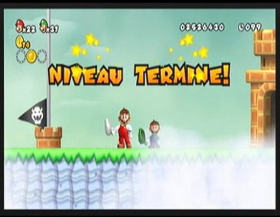 New super Mario Bros wii [14]