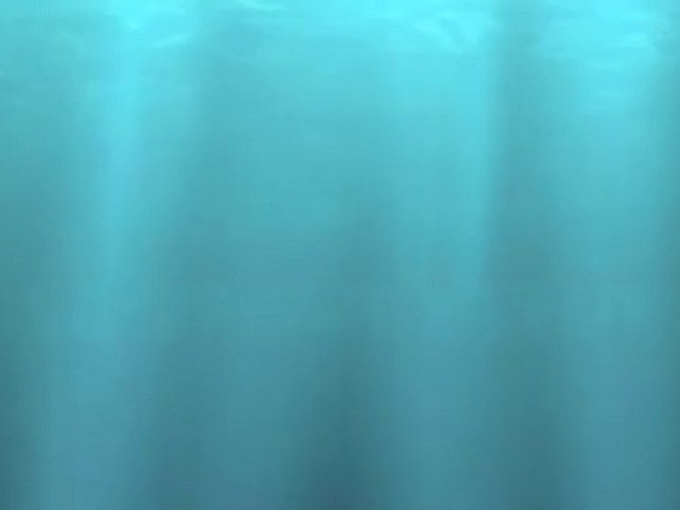 08 juin 2010 La Vague BLEUE 1ere partie