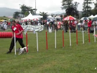 Ch. de France Agility 2010 Sundae ( manche 2)