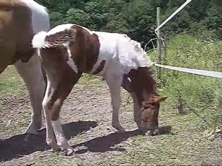 Petite A.... 16 jours